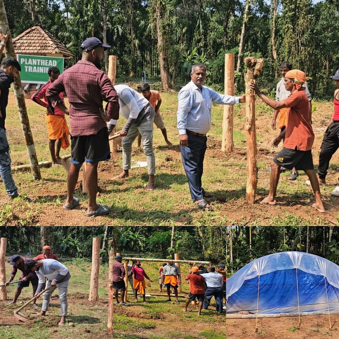 Farmers building a climate-safe grow shed from fallen areca palm trees